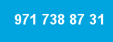 971 738 87 31